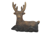 Hert Reuben S - (DS-824383)